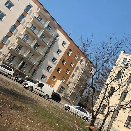 Leśna#64 *