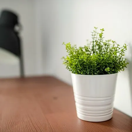 Lesna#64 Apartment